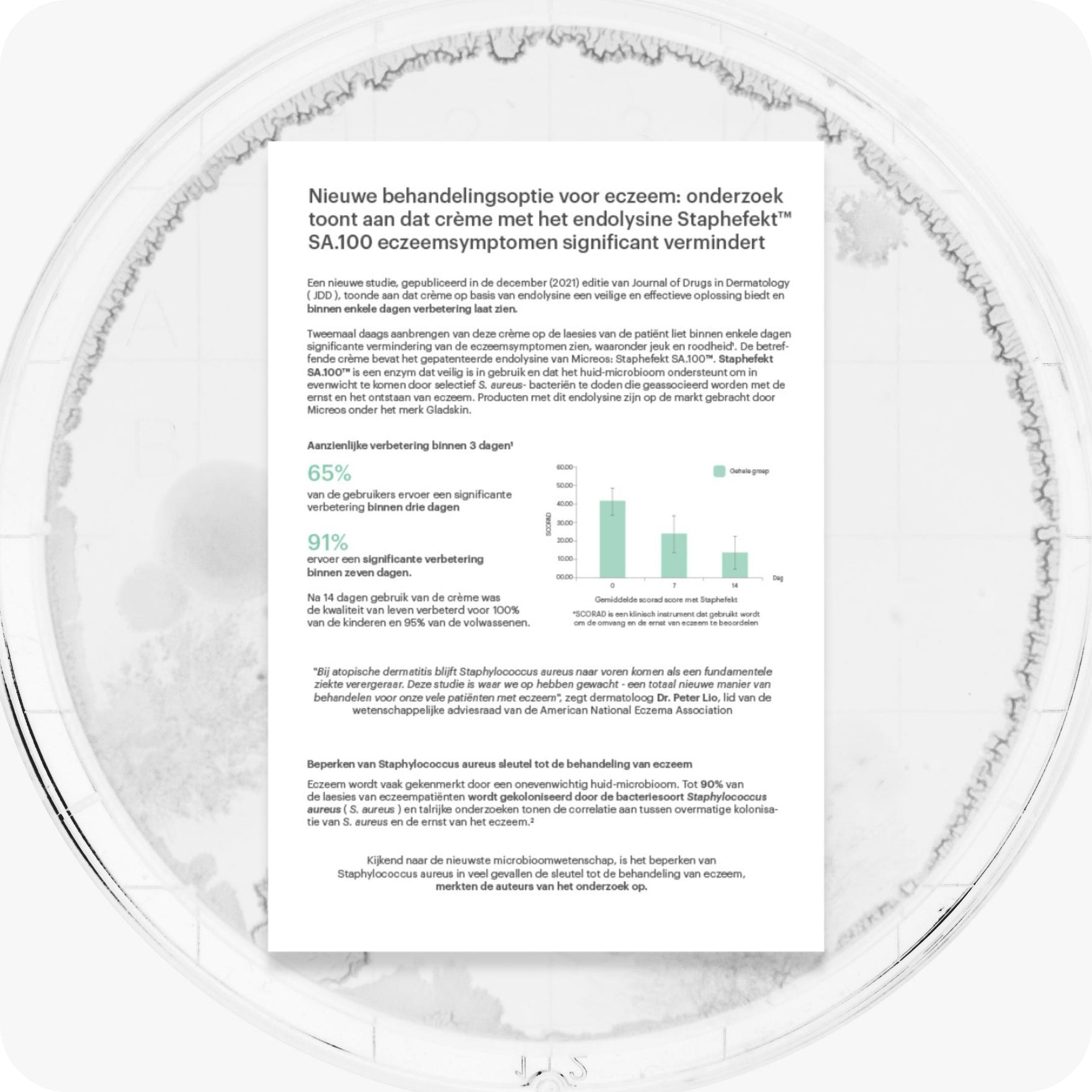 NIEUWE STUDIE: Gladskin-ingrediënt Staphefekt™ blijkt eczeemsymptomen aanzienlijk te verminderen